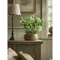 Faux Potted Hellebore - Green