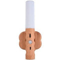 Home Smart Infrared Sensor Lamp | Light Source Power: 1W | Light Color: White Light