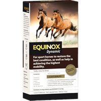 EQUINOX Dynamic
