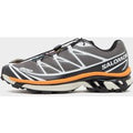 Salomon XT-6, gris