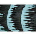 Deadstock Embroidered Sheer Chiffon Fabric Black & Turquoise