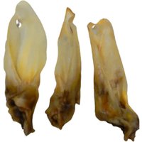 Lamsoren