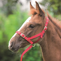 Shires Nylon Foal Slip - Red / Foal