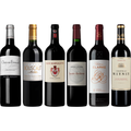 Bordeaux Rot Verkostungsset