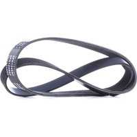 RIDEX Cinghia Poly-V Elastic 305P0409 Cinghia servizi,Cinghia alternatore FORD,VOLVO,Focus II Schrägheck (DA_, HCP, DP),C-MAX (DM2)