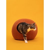 Lora kattengrot