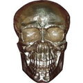 Casa Padrino Skulptur Totenkopf Skull Gold B. 30 cm H. 43 cm - Deko Figur - Wanddeko