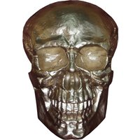 Casa Padrino Skulptur Totenkopf Skull Gold B. 30 cm H. 43 cm - Deko Figur - Wanddeko