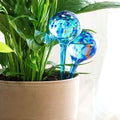 Lot de 2 Globes d'arrosage