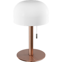 Lisse Bronze
