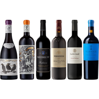 Südafrika  Rotwein Premium Verkostungsset