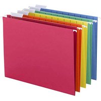 Easylife Hanging Files, Size Pack Of 10
