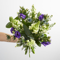 3 Month Gift Subscription - Monthly