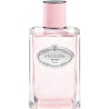Prada Infusion de Rose Eau de Parfum 100 ml