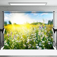 Warm Sunlight Daisy Yellow Photo Spring Backdrop - Aperturee