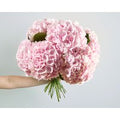 Premium Flower Subscription