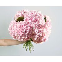 Premium Flower Subscription