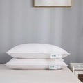 Feather & Goose Down Pillows