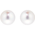 Classic Collection 8x8.5mm Grade AA Akoya Pearl Stud Earrings