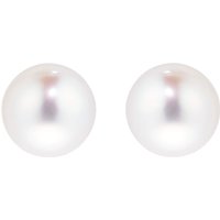 Classic Collection 8x8.5mm Grade AA Akoya Pearl Stud Earrings