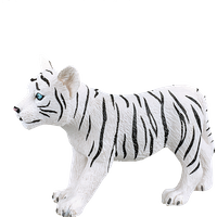White Tiger cub standing