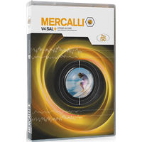 proDAD Mercalli V4