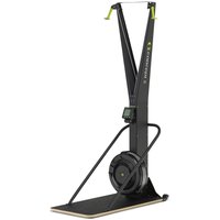 Concept2 SkiErg with PM5 Monitor, Yes - I want a free-standing SkiErg