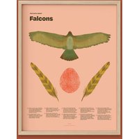 Falcon Fun Facts Print