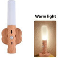 Home Smart Infrared Sensor Lamp | Light Source Power: 1W | Light Color: Warm Light