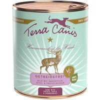 Terra Canis bez žitarica 6 x 800 g - Divljač s krumpirom, jabukom i brusnicama
