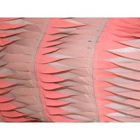 Deadstock Embroidered Sheer Chiffon Fabric Pink