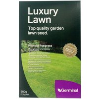 500g Luxury Lawn Seed 20 Square Metres Coverage