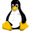 Professional Linux VPS