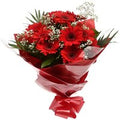 Red Glamour Gerberas