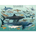 Eurographics Puzzle Haie  - 1000 Teile