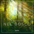 Atmosfera - Nel bosco