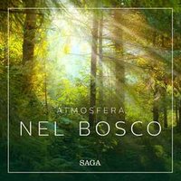 Atmosfera - Nel bosco