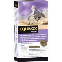EQUINOX Flexen