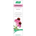 A Vogel Echinacea Cream 35g