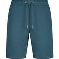 Amsterdam 1000 Soft Cotton Sweat Shorts - Teal