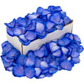 1 Box of Blue Rose Petals