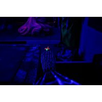 18-Hole Neon Mini Golf for a Family of Up to 4 at Activity For All - Wirral | Wowcher