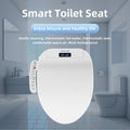 Smart Toilet Seat Cover - Hygienic, Water Saving, Multi Spra-Clean, Dry, LED Night Light, Display Screen for Eco-Friendly Living