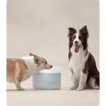 Petlibro Capsule Dog Fountain, Capsule