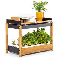 Smart Garden | LivingBloom Slimme Tuin