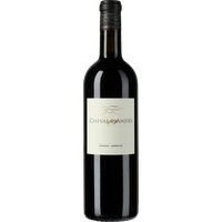 Cheval des Andes 2021