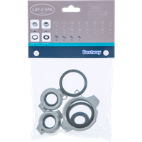 Kit ghiere e rondelle per ingresso e uscita per idromassaggi Lay-Z-Spa