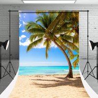 Sky Clouds Beach Summer Holiday Photo Sweep Backdrop - Aperturee