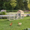Home Deluxe Houten kippenhok TANO - 310 x 150 cm