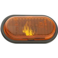 TYC Frecce OPEL,RENAULT,NISSAN 18-0665-01-2 2616000QAA,09161036,4500736 Indicatore di Direzione,Indicatore direzione 7700806228,7700811971,7700814395
